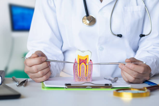 Best Same-Day Emergency Dental Services in Wilmore, KY